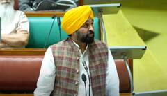 ਵਿਧਾਨ ਸਭਾ ‘ਚ BBMB ਤੋਂ CISF ਨੂੰ ਹਟਾਉਣ ਦਾ ਪ੍ਰਸਤਾਵ ਸਰਬਸੰਮਤੀ ਨਾਲ ਹੋਇਆ ਪਾਸ