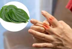 Uric Acid માટે કાળ છે આ લીલું પાન, જાણો કઈ રીતે કરવું સેવન 