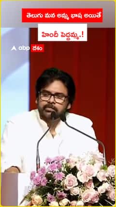 తెలుగు మన అమ్మ భాష అయితే హిందీ పెద్దమ్మ