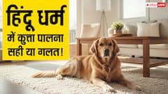 कुत्ता पालने सही या गलत! प्रेमानंद महाराज से गरुड़ पुराण तक, जानें क्या कहता है सनातन धर्म?