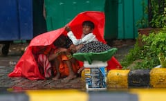 Rain Forecast: নিম্নচাপ কেটেছে, তবে রেহাই নেই বর্ষা থেকে! সপ্তাহান্তেই ফের আসছে বৃষ্টি!