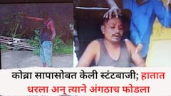 कोब्रा सापासोबत स्टंटबाजी जीवावर बेतली; हातात धरला अन् अंगठाच फोडला, 30 वर्षीय तरुणाचा मृत्यू