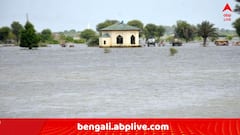 প্রবল বর্ষণে বিপর্যস্ত পাকিস্তান, ১০০ ছুঁইছুঁই মৃতের সংখ্যা !