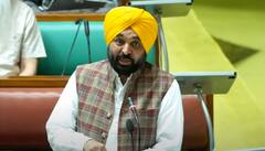 BBMB ਤੋਂ CISF ਨੂੰ ਹਟਾਉਣ ਦਾ ਪ੍ਰਸਤਾਵ ਸਰਬਸੰਮਤੀ ਨਾਲ ਹੋਇਆ ਪਾਸ, CM ਮਾਨ ਨੇ ਕਿਹਾ- ਸਾਡੀ ਪੰਜਾਬ ਪੁਲਿਸ ਪੂਰੀ ਤਰ੍ਹਾਂ ਸਮਰੱਥ