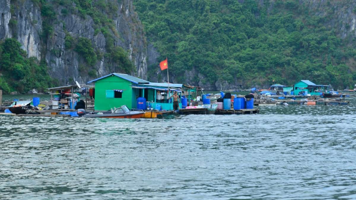 (Image Source: Twitter/@halongcruisevnt)