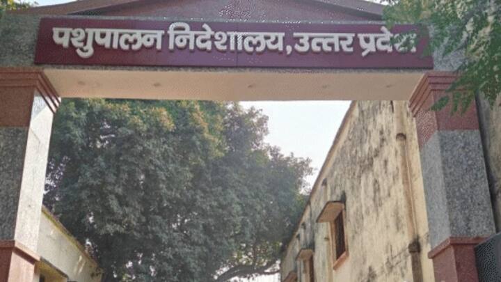 इसके बाद DPR की जांच होगी. और फिर बैंक और विभाग की मंजूरी मिलने के बाद आपको योजना का लाभ मिलेगा. वहीं अगर आप ऑफलाइन इसके लिए आवेदन करना चाहते हैं. तो इसके लिए आपको जिला पशुपालन विभाग से संपर्क करना होगा.