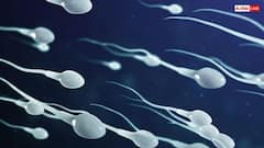 बच्चा पैदा करने के लिए कितना होना चाहिए एक पुरुष में स्पर्म काउंट, जानें कैसे कर सकते हैं चेक