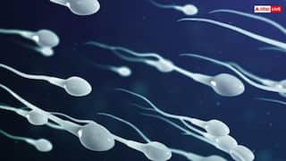 बच्चा पैदा करने के लिए कितना होना चाहिए एक पुरुष में स्पर्म काउंट, जानें कैसे कर सकते हैं चेक