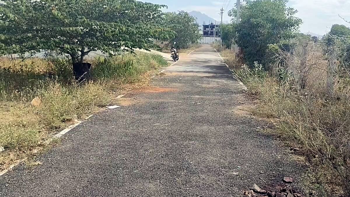 மதுரையின் பிரபல ரவுடி சிவமணி படுகொலை! கூட்டாளிகள் கைது - கொலையின் பின்னணி என்ன?