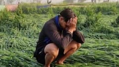 किन किसानों को मिलता है पीएम फसल बीमा योजना का लाभ, जान लीजिए नियम