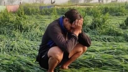 किन किसानों को मिलता है पीएम फसल बीमा योजना का लाभ, जान लीजिए नियम किन किसानों को मिलता है पीएम फसल बीमा योजना का लाभ, जान लीजिए नियम