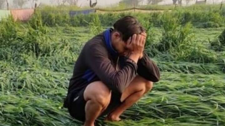 इसके अलावा कई बार देखा गया है कि मौसम की मार के चलते. तो अलग वजहों के चलते फसलें खराब हो जाती हैं. जिससे किसानों को बहुत नुकसान होता है. भारत सरकार ने किसानों को इस नुकसान से बचाने के लिए भी व्यवस्था कर रखी है.