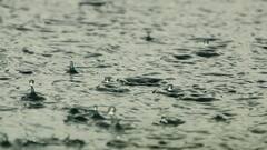 IMD Issues Yellow Alert For Heavy Rain, Thundershowers Across Kerala From July 12-15