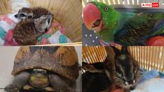 मुंबई एयरपोर्ट पर वन्यजीव तस्करी का भंडाफोड़, दुर्लभ प्रजातियों के खरगोश-तोते और कछुए जब्त