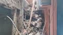 Building Collapsed in Delhi: राजधानी दिल्लीत चार मजली इमारत कोसळली; 14 महिन्यांच्या मुलांसह 8 जखमी, ढिगाऱ्यात अजूनही लोक अडकल्याची भीती