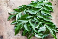 उम्र से पहले ही सफेद हो रहे हैं बाल? ये देसी उपाय आएंगे आपके काम