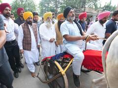 Punjab News: ਮੁੜ ਤੋਂ ਦੇਖਣ ਨੂੰ ਮਿਲੇਗਾ ਪੰਜਾਬ ਦਾ ਸ਼ਾਨਦਾਰ ਵਿਰਸਾ, ਕਰਵਾਈਆਂ ਜਾਣਗੀਆਂ ਬੈਲਗੱਡੀਆਂ ਦੀ ਦੌੜਾਂ, ਦੁਨੀਆ ਭਰ ‘ਚ ਹੁੰਦੀ ਸੀ ਚਰਚਾ