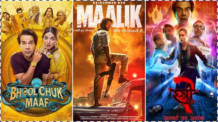राजकुमार की इन 5 फिल्मों का रिकॉर्ड नहीं तोड़ पाई 'मालिक', देखें एक्टर की हाईएस्ट ओपनिंग मूवीज