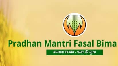 किन किसानों को मिलता है पीएम फसल बीमा योजना का लाभ, जान लीजिए नियम किन किसानों को मिलता है पीएम फसल बीमा योजना का लाभ, जान लीजिए नियम