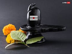 Sawan 2025 Shivling: शिवलिंग के 7 स्थान, जहां चंदन लगाने से चमक जाती है किस्मत !