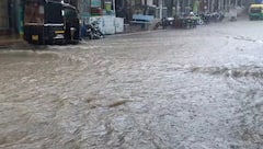 Bhavnagar Rain: ભાવનગર જિલ્લાના વાતાવરણમાં પલટો,  પાલીતાણા તાલુકામાં ધોધમાર વરસાદ