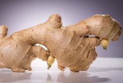 मानसून में सेहत का रखें खास ख्याल, ये 6 सुपरफूड्स जरूर खाएं