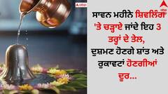 ਸਾਵਨ ਮਹੀਨੇ ਸ਼ਿਵਲਿੰਗ 'ਤੇ ਚੜ੍ਹਾਏ ਜਾਂਦੇ ਇਹ 3 ਤਰ੍ਹਾਂ ਦੇ ਤੇਲ, ਦੁਸ਼ਮਣ ਹੋਣਗੇ ਸ਼ਾਂਤ ਅਤੇ ਰੁਕਾਵਟਾਂ ਹੋਣਗੀਆਂ ਦੂਰ...