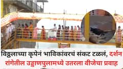 धक्कादायक! विठ्ठलाच्या कृपेनं भाविकांवरचं संकट टळलं, दर्शन रांगेतील उड्डाणपुलामध्ये उतरला वीजेचा प्रवाह, तीन कुत्र्यांना गमावला जीव