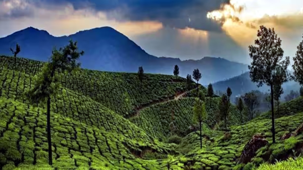 கேரளா சுற்றுலா: IRCTC வழங்கும் அசத்தல் தொகுப்பு! 5 இரவுகள், 6 பகல்கள் - மிஸ் பண்ணிடாதீங்க!