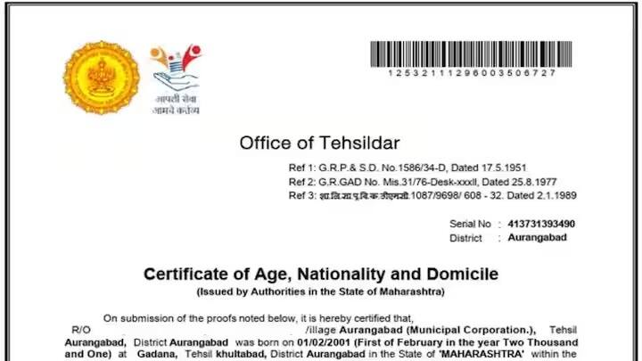 રાષ્ટ્રીયતા પ્રમાણપત્ર પણ તમારી નાગરિકતા સાબિત કરે છે. તે રાજ્ય સરકાર દ્વારા અને ક્યારેક જિલ્લા અધિકારી દ્વારા જારી કરવામાં આવે છે. તે ફક્ત ખાસ પરિસ્થિતિઓમાં જ જારી કરવામાં આવે છે. કેટલાક કિસ્સાઓમાં, ગૃહ મંત્રાલય પણ તેને જારી કરે છે. આ પ્રમાણપત્રમાં લખ્યું હોય છે કે આ નાગરિક ભારતીય છે.