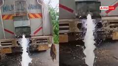 Watch: जे बात! जंगल में बहा दिया 5 हजार लीटर दूध, ये है वजह, आगरा का ये वीडियो देख रह जाएंगे दंग