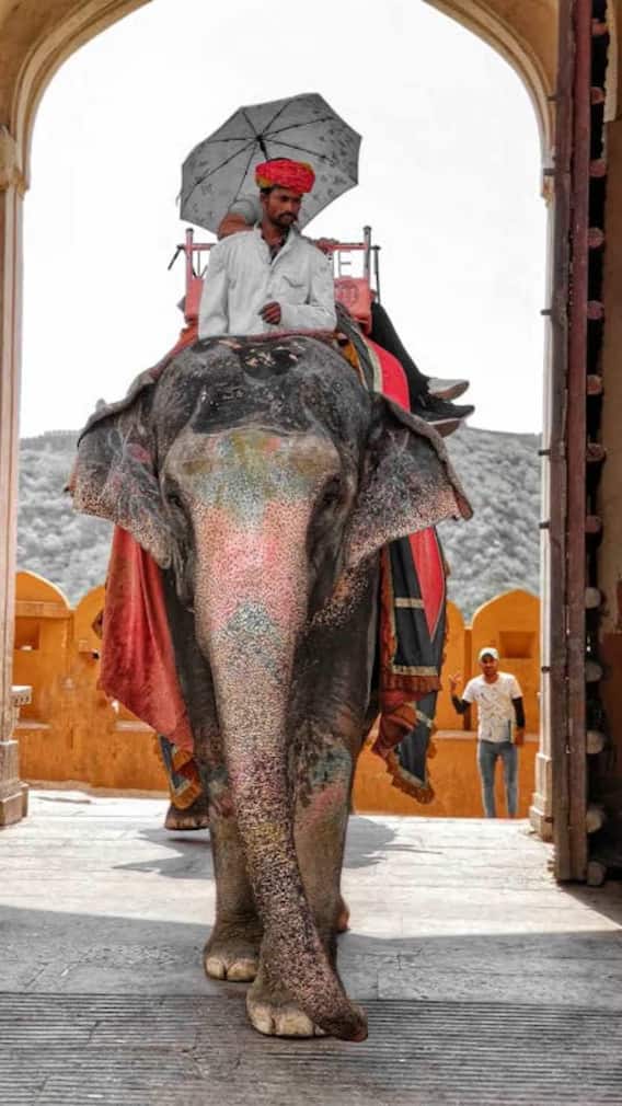 राजस्थान के 5 सबसे रईस जिले कौन-से?