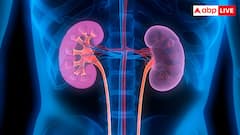 इन 10 आदतों के कारण खतरे में आ जाती है किडनी, कहीं आप तो नहीं करते ये गलतियां?