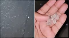 Glass On Kanwar Route: Delhi Police Detain E-Rickshaw Driver; BJP Alleges ‘Pre-Planned Conspiracy’