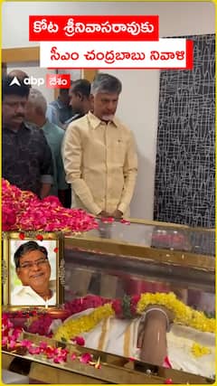 CM Chandrababu pays tribute to Kota Srinivasa Rao Shekhar