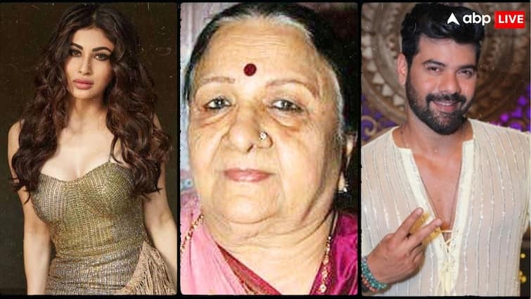 किसी ने कहा दुनिया को अलविदा, तो कोई बना सुपरस्टार, देखिए अब कहां हैं ‘क्योंकि..’ के ये किरदार