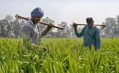 ਇਸ ਦਿਨ ਆਉਣਗੇ ਕਿਸਾਨਾਂ ਦੇ ਖਾਤਿਆਂ 'ਚ ਪੈਸੇ, ਅਗਲੀ ਕਿਸ਼ਤ ਨੂੰ ਲੈਕੇ ਸਾਹਮਣੇ ਆਇਆ ਵੱਡਾ ਅਪਡੇਟ