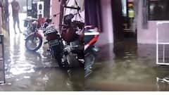 Madhya Pradesh Rains Flood Tikamgarh: Homes Submerged, Dams Overflow After 20-Inch Downpour In 48 Hours — Video