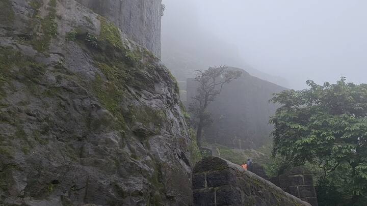 सर्पाकार द्वाररचनेचा उत्कृष्ट नमूना म्हणजे हा किल्ला आहे. हनुमान दरवाजा, गणेश दरवाजा, नारायण दरवाज आणि वरती महादरवाजा असे चार दरवाजे या किल्ल्यावर आहेत.