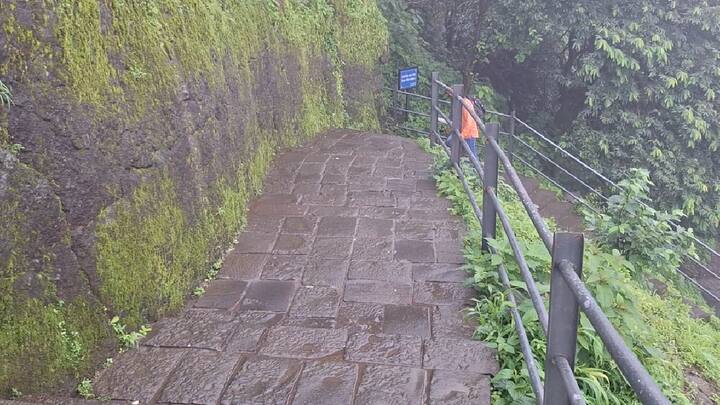 बोरघाटाचा संरक्षण म्हणून या किल्ल्याचं मोठं महत्त्व आहे. या किल्ल्याच्या आजुबाजूला राजमाची, विसापूर हे प्रमुख किल्ले आहेत. तसेच, तुंग, तुपोना, मोरगिरी यांसारखे अनेक किल्ले इंथ आहेत.