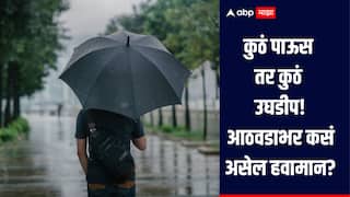 कुठं पाऊस तर कुठं उघडीप, पुढील आठवडाभर राज्यात कसं असेल हवमान? जाणून घ्या सविस्तर माहिती 