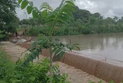 Rain Update: બનાસકાંઠા પર મેઘરાજા મહેરાબાન, દાંતીવાડામાં જળબંબાકાર, જાણો ક્યાં કેટલો વરસ્યો