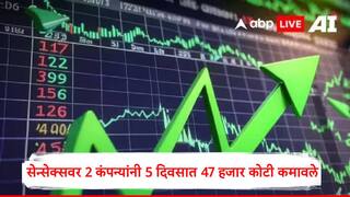 Share Market Update : सेन्सेक्सवरील टॉप 10 पैकी 8 कंपन्यांना धक्का, बाजारमूल्य 2.07 लाख कोटींनी घटलं, 2 कंपन्यांची 47 हजार कोटींची कमाई