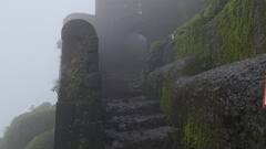 Photos: शिवरायांनी सूरत लुटलेलं धन सांभाळणारा, निसर्ग सौंदर्याचं वरदान, पुरंदरच्या तहाचा साक्षीदार 'लोहगड'