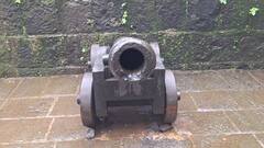 Photos: शिवरायांनी सूरत लुटलेलं धन सांभाळणारा, निसर्ग सौंदर्याचं वरदान, पुरंदरच्या तहाचा साक्षीदार 'लोहगड'