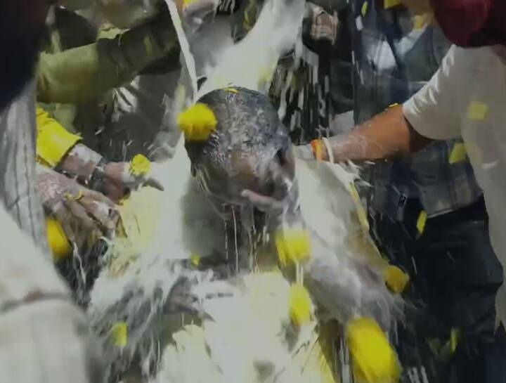 संभाजी ब्रिगेडचे प्रदेशाध्यक्ष प्रवीण गायकवाड यांना अक्कलकोट येथे काळं फासण्यात आल्याची घटना घडली आहे. या घटनेनंतर प्रविण गायकवाड हे पंढरपुरात दाखल झाले आहेत. पंढरपुरात त्यांचे जंग स्वागत करण्यात आले.