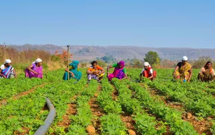 ਤੁਹਾਨੂੰ ਦੱਸ ਦਈਏ ਕਿ ਸਰਕਾਰ 4 ਮਹੀਨਿਆਂ ਦੇ ਫਰਕ ਨਾਲ ਕਿਸ਼ਤ ਭੇਜਦੀ ਹੈ। ਫਰਵਰੀ ਦੇ ਅਨੁਸਾਰ, 4 ਮਹੀਨਿਆਂ ਦੀ ਮਿਆਦ ਜੁਲਾਈ ਵਿੱਚ ਖਤਮ ਹੋ ਰਹੀ ਹੈ। ਅਜਿਹੀ ਸਥਿਤੀ ਵਿੱਚ, ਇਹ ਅੰਦਾਜ਼ਾ ਲਗਾਇਆ ਜਾ ਰਿਹਾ ਹੈ ਕਿ ਅਗਲੀ ਕਿਸ਼ਤ ਜੁਲਾਈ ਵਿੱਚ ਜਲਦੀ ਹੀ ਜਾਰੀ ਕੀਤੀ ਜਾ ਸਕਦੀ ਹੈ।