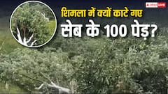 हिमाचल में वन विभाग का एक्शन, कोटखाई के चैथला गांव में अवैध कब्जों पर चला हथौड़ा, 3800 सेब के पेड़ कटेंगे