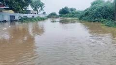 Banaskantha Rain: ધોધમાર વરસાદથી ડીસાના બાઈવાડા ગામમાં રસ્તાઓ બેટમાં ફેરવાયા, જુઓ તસવીરો