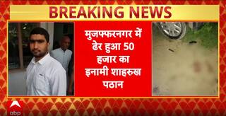 UP News: ₹50,000 Bounty Shooter Shahrukh Pathan Killed In Encounter By UP STF